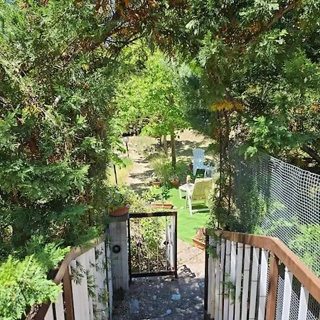 فيلة Il Giardino